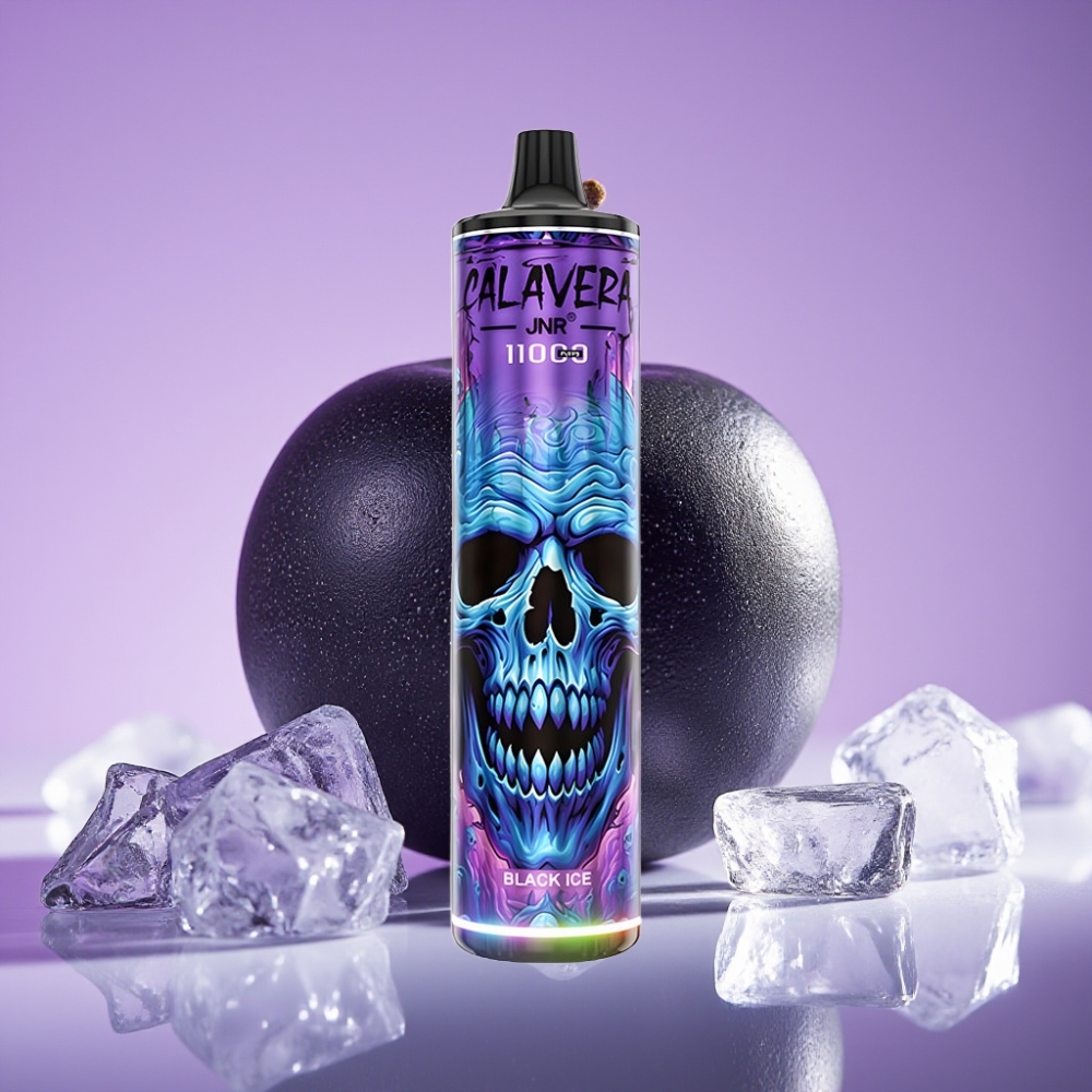 JNR Calavera 11000 نفخة شاحن Type-C سعة بطارية 850 مللي أمبير سعة سائل 21 مللي Black Ice
