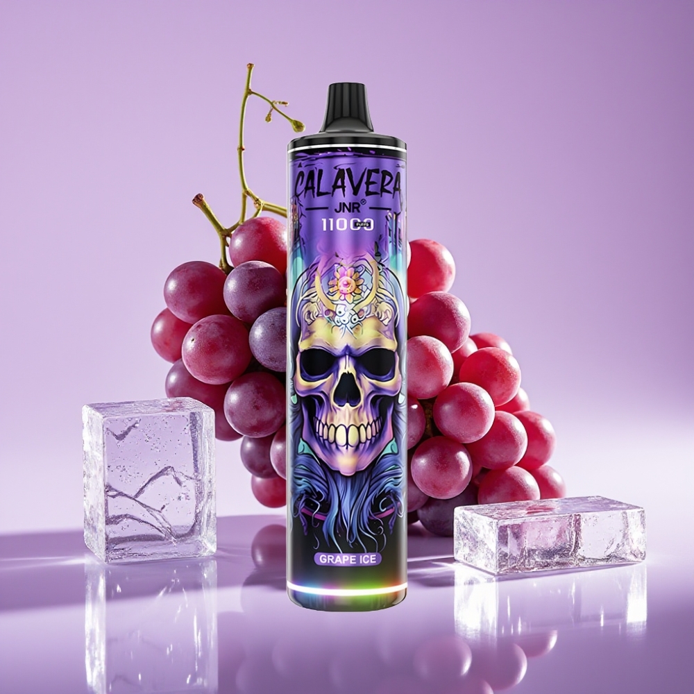 JNR Calavera 11000 نفث شاحن Type-C 850 مللي أمبير 21 مللي عصير عنب آيس