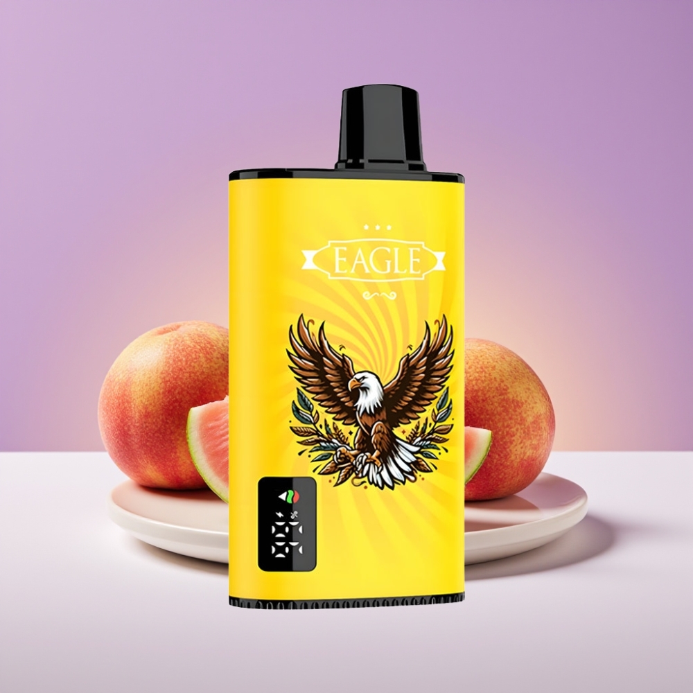 JNR EAGLE Smart 23000 Puffs شاشة رقمية 1.0ohm ملف شبكي 750mAh بطارية 25ml سعة خزان 2% نيكوتين نكهة خوخ مانجو بطيخ