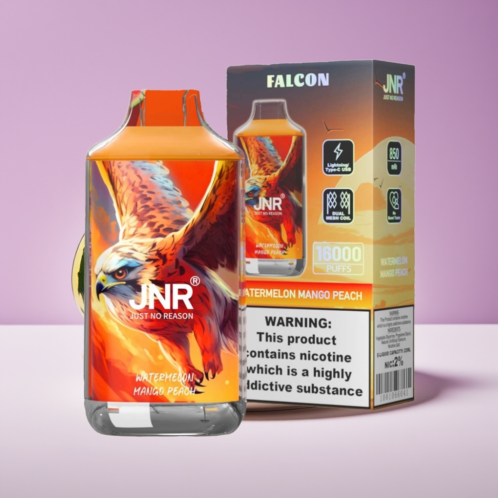 JNR Falcon 16000 Puff بطارية 850 ملي أمبير سعة 22 مل ثنائي ملف شبكي شاشة LED شحن Type-C بطيخ مانجو خوخ