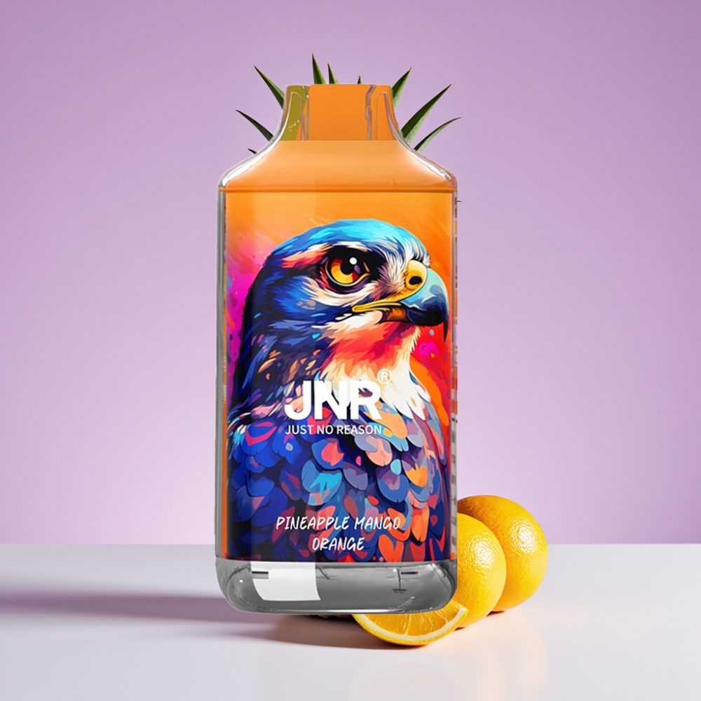 JNR Falcon 16000 Puffs 850mAh 22ml Dual Mesh Coil Type C Smart LED أناناس مانجو برتقال
