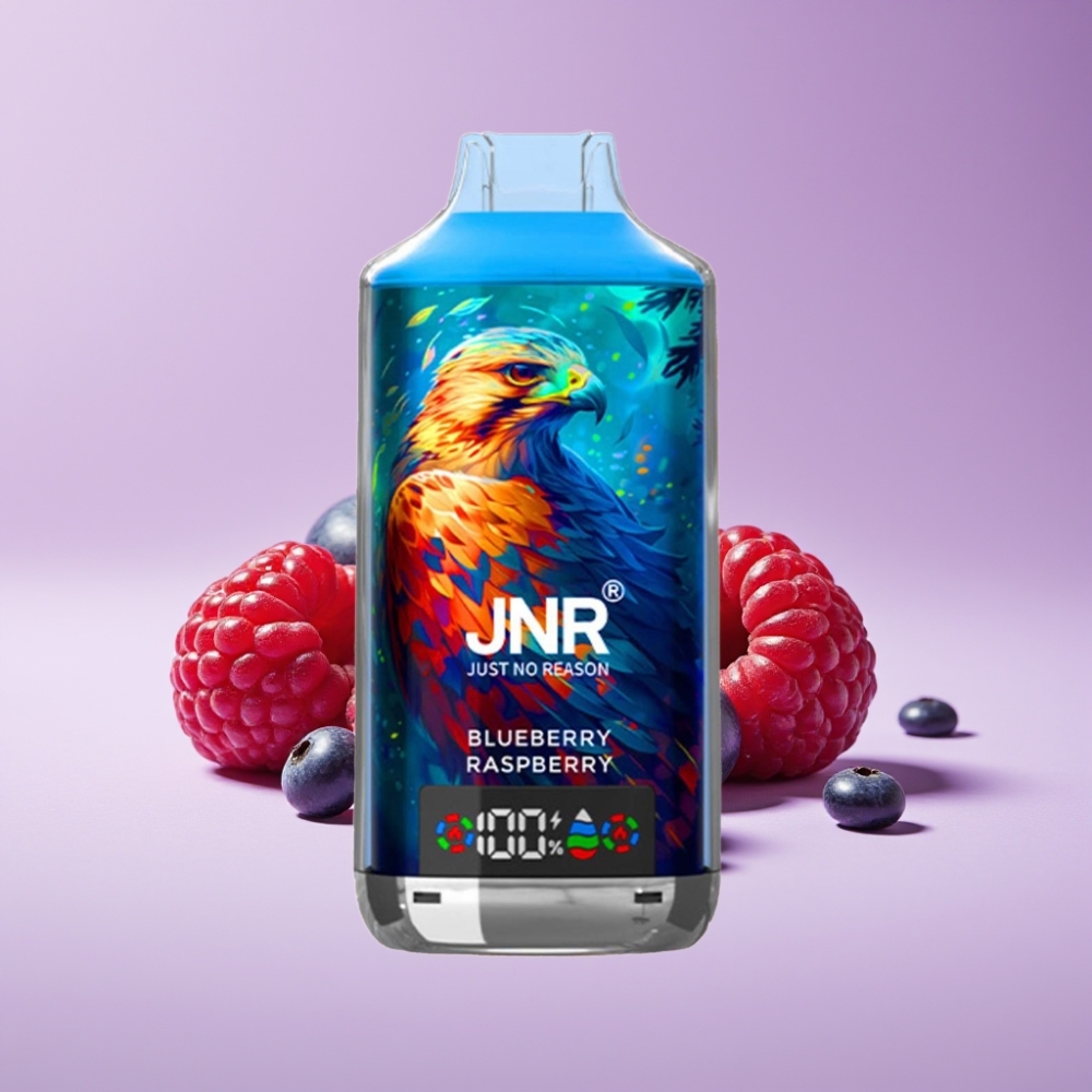 JNR Falcon X 18000 Puffs 750mAh 24ml Dual Mesh Coil بلوبيري راسبيري