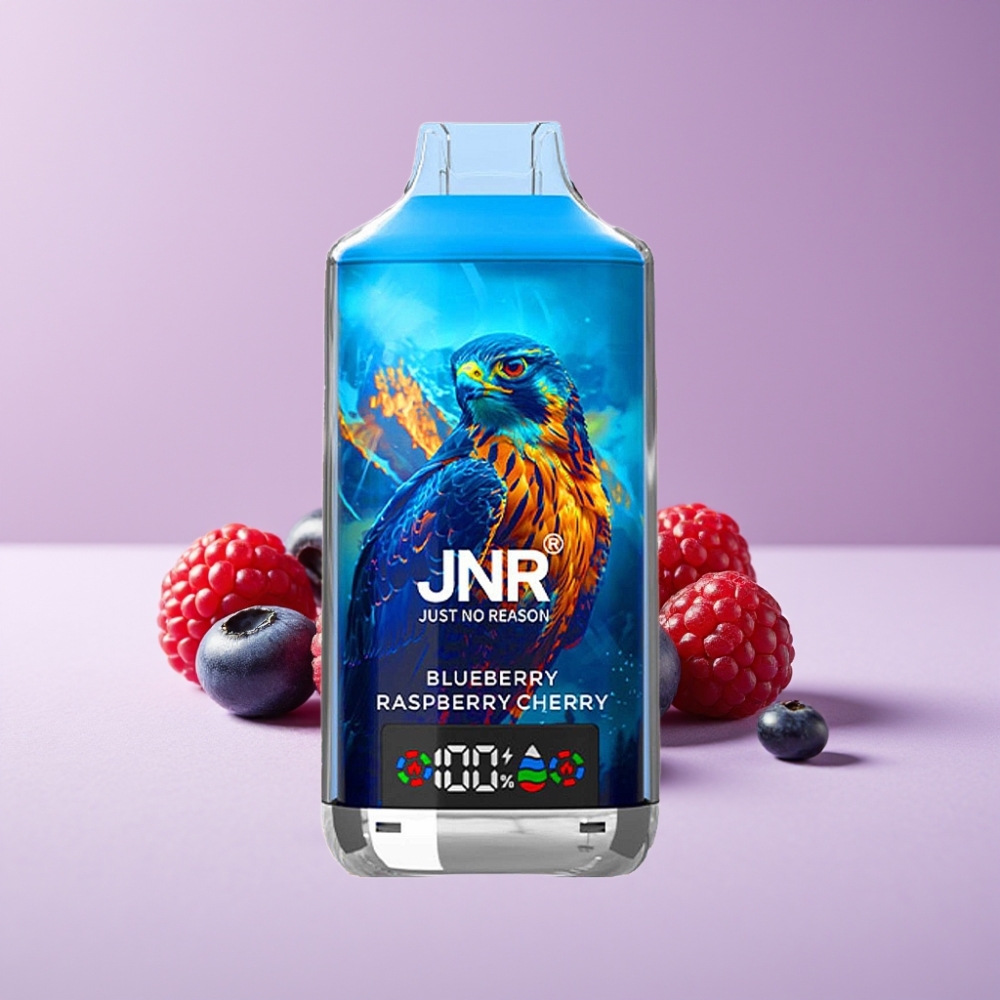 JNR Falcon X 18000 Puffs 750mAh 24ml Dual Mesh Coil Type-C Blueberry Raspberry Cherry