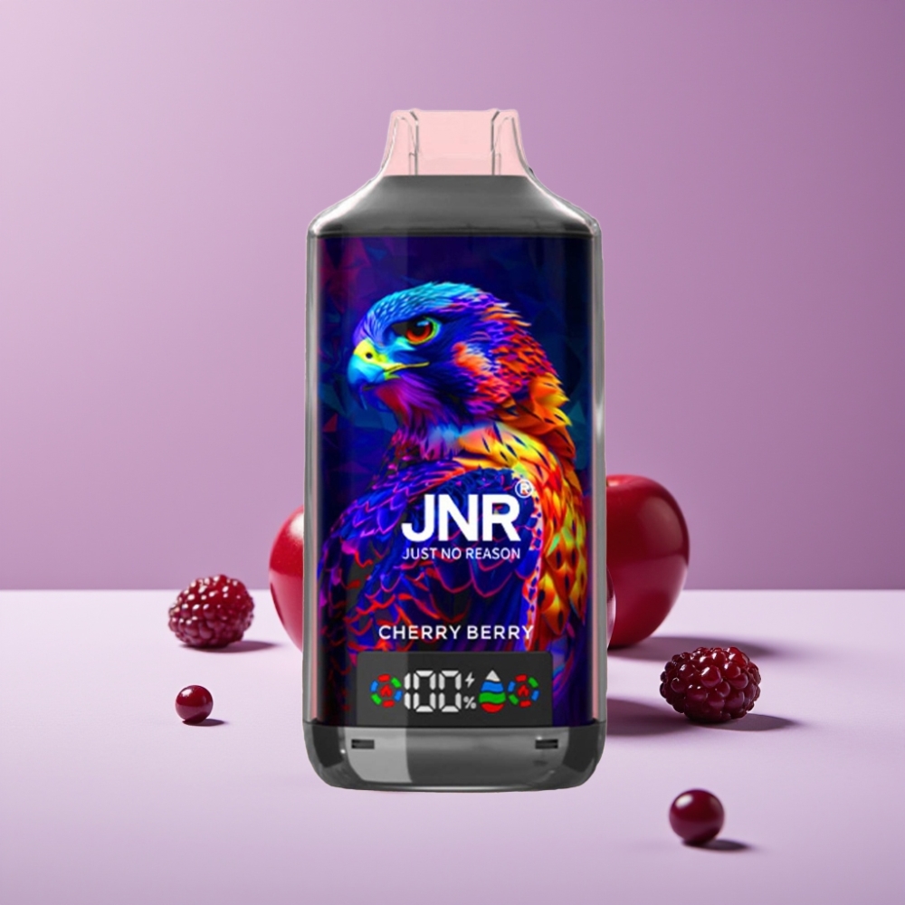 JNR Falcon X 18000 Puffs 750mAh 24ml Dual Mesh Display Type-C كرزي توتي