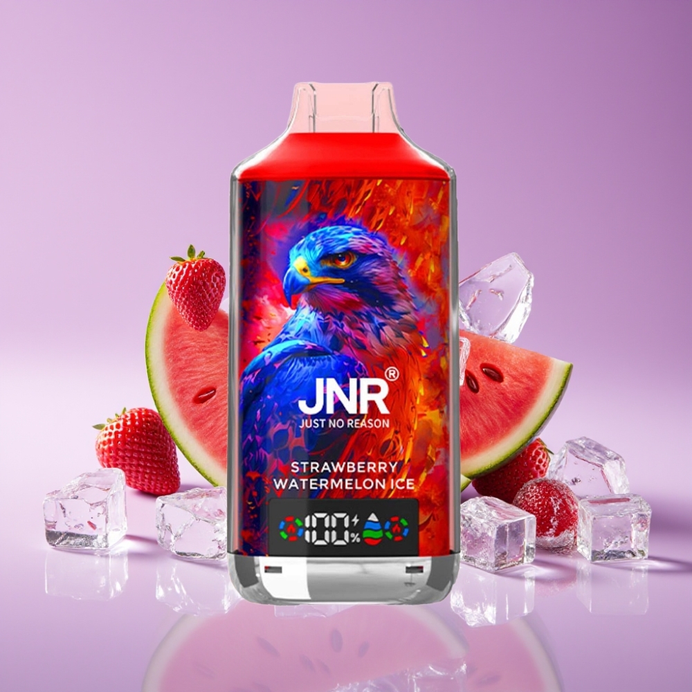 JNR Falcon X 18000 Puffs 750mAh 24ml ثنائي الملف وشريحة مزدوجة شاشة رقمية شحن سريع Type-C 0%،2%،5% فراولة بطيخ مثلج