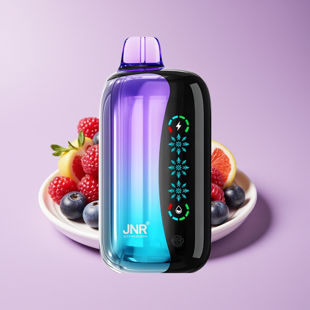 JNR Flex Ice 21000 نفخة شاشة لمس توت مشكل قابل لضبط البرودة