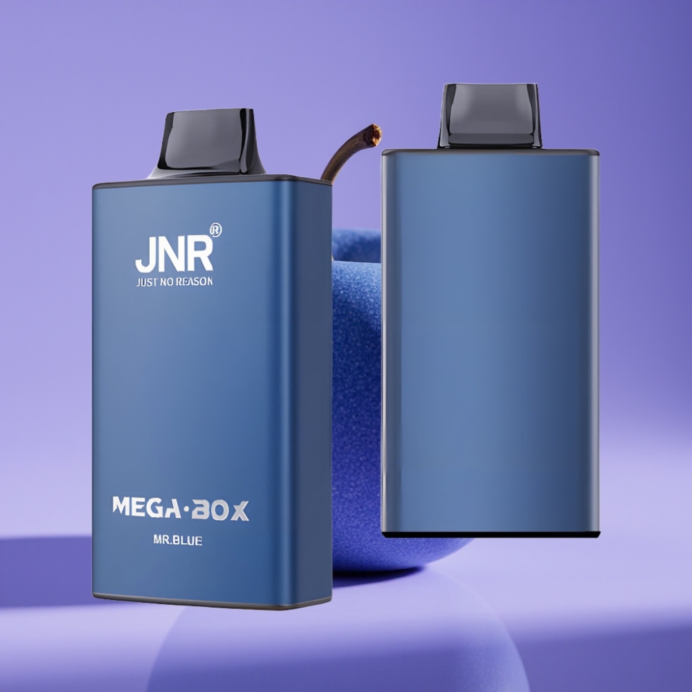 JNR Mega Box 25000 Puffs 30ml 850mAh Dual Mesh Type-C أزرق